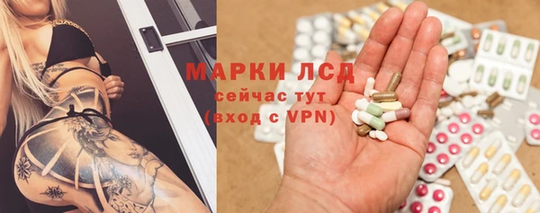 мяу мяу мука Сясьстрой