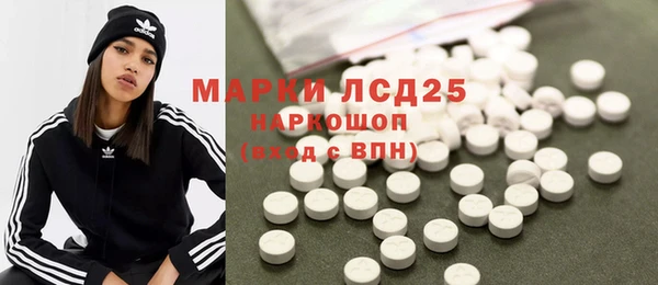 стаф Вязьма