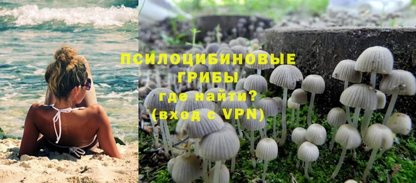 гидра Вязники
