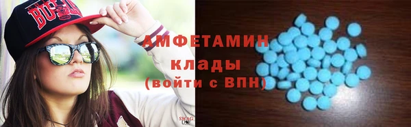 стаф Вязьма