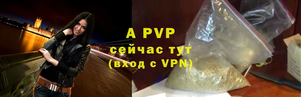 стаф Вязьма