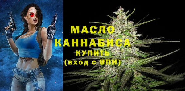 гидра Вязники