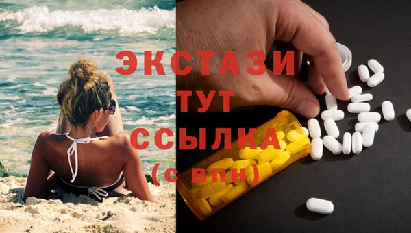 гидра Вязники