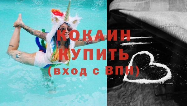 стаф Вязьма