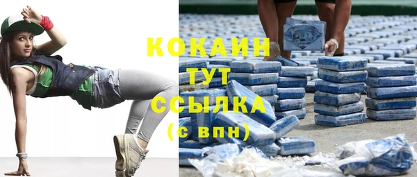 гидра Вязники