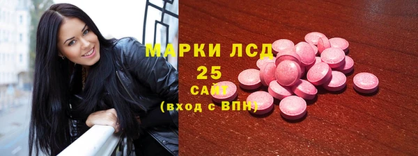 стаф Вязьма