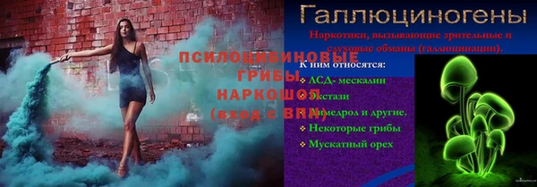 гидра Вязники