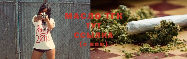 спиды Тайга