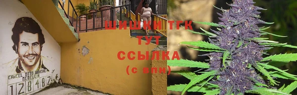 гидра Вязники